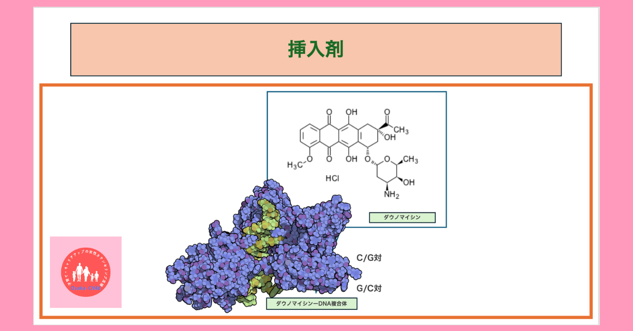 antibiotics-function-molecular-genetics