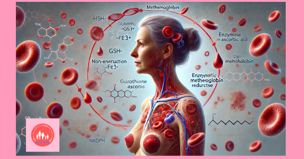 red-blood-cell-metabolism-function-biochemistry