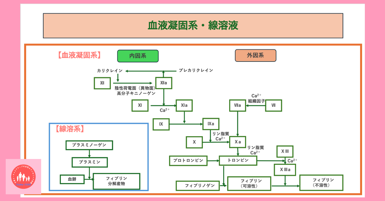 blood-test-blood-components-blood-coagulation-system-fibrinolytic-solution