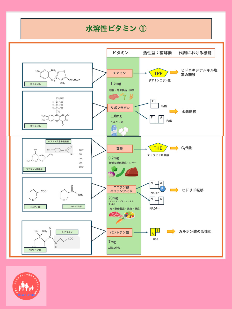 water-soluble-vitamin-function-nutrition-biochemistry