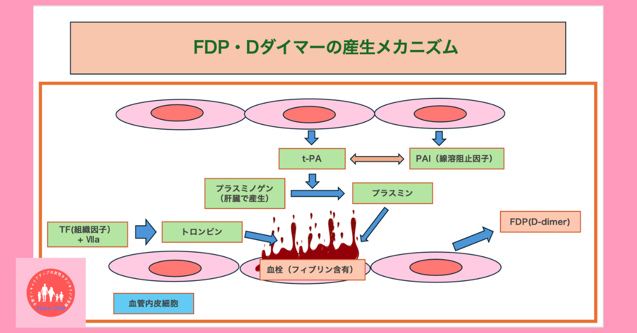 blood-test-what-you-can-learn-fdp-d-dimer