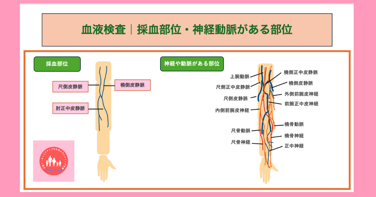 blood-test-arterial-blood-test-venous-blood-test