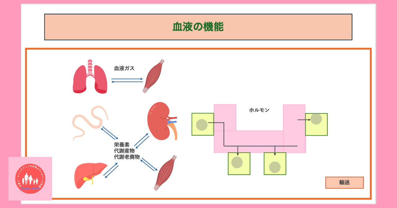 blood-components-function-biochemistry