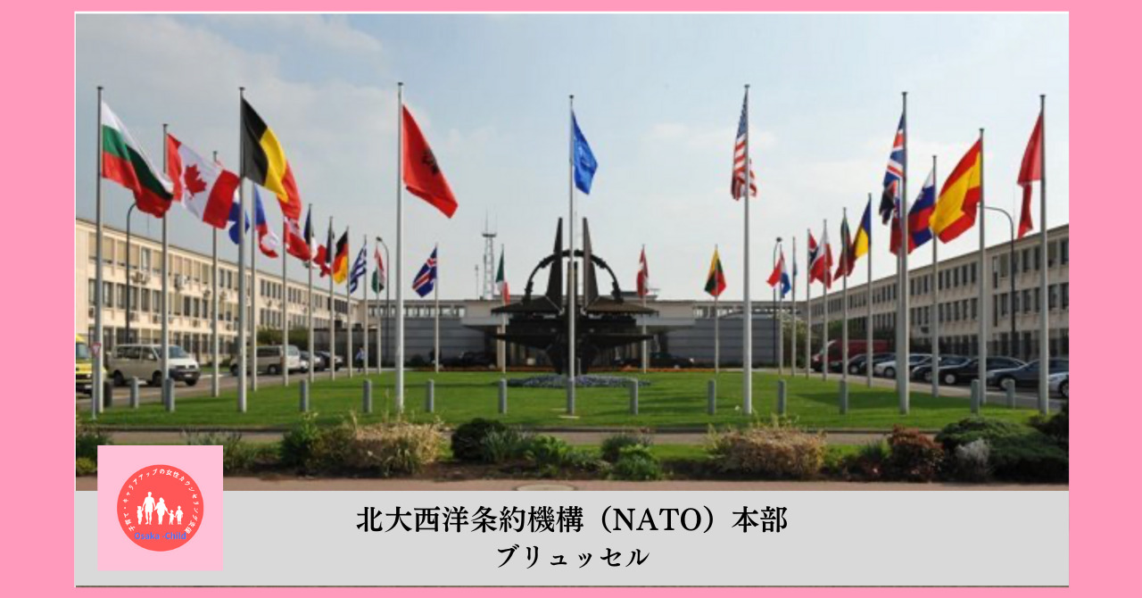 north-atlantic-treaty-organization-(nato)-member-countries-high-school-world-history