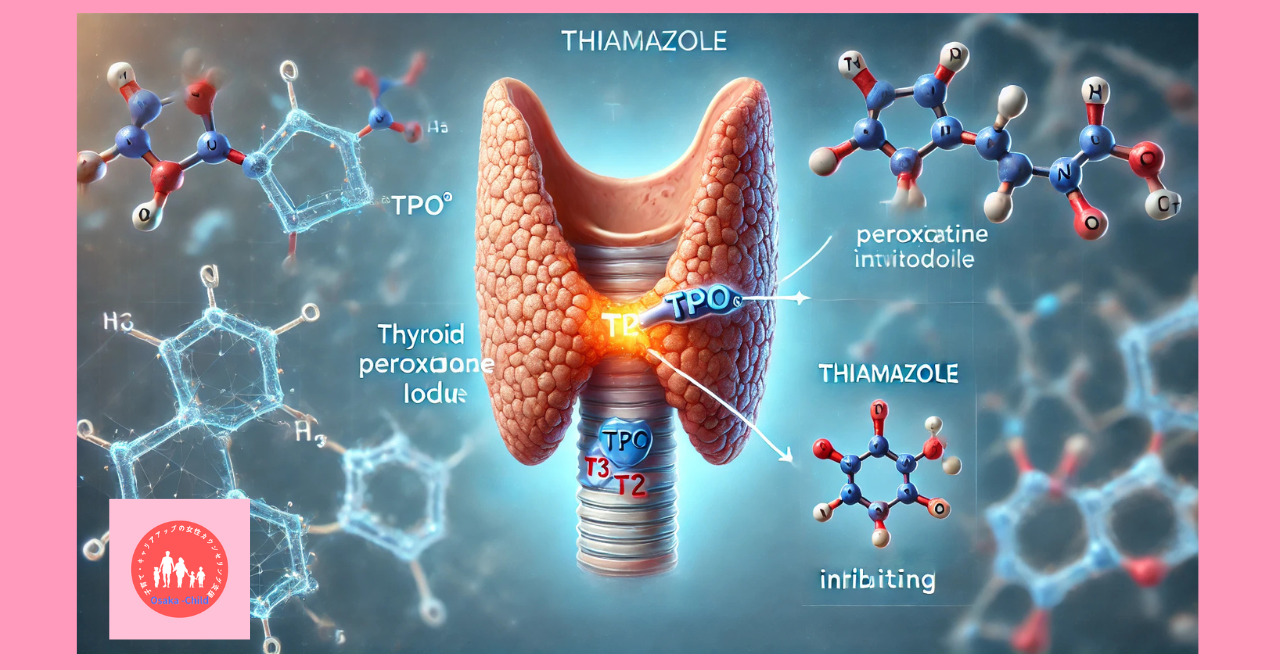 endocrine-system-related-drug-antithyroid-drug-thiamazole