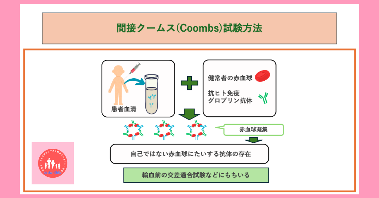 blood-test-what-you-can-learn-direct-antiglobulin-test-indirect-antiglobulin-test-difference