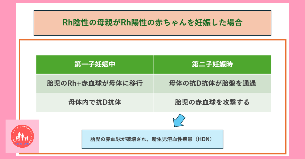 blood-test-what-you-can-learn-direct-antiglobulin-test-indirect-antiglobulin-test-difference