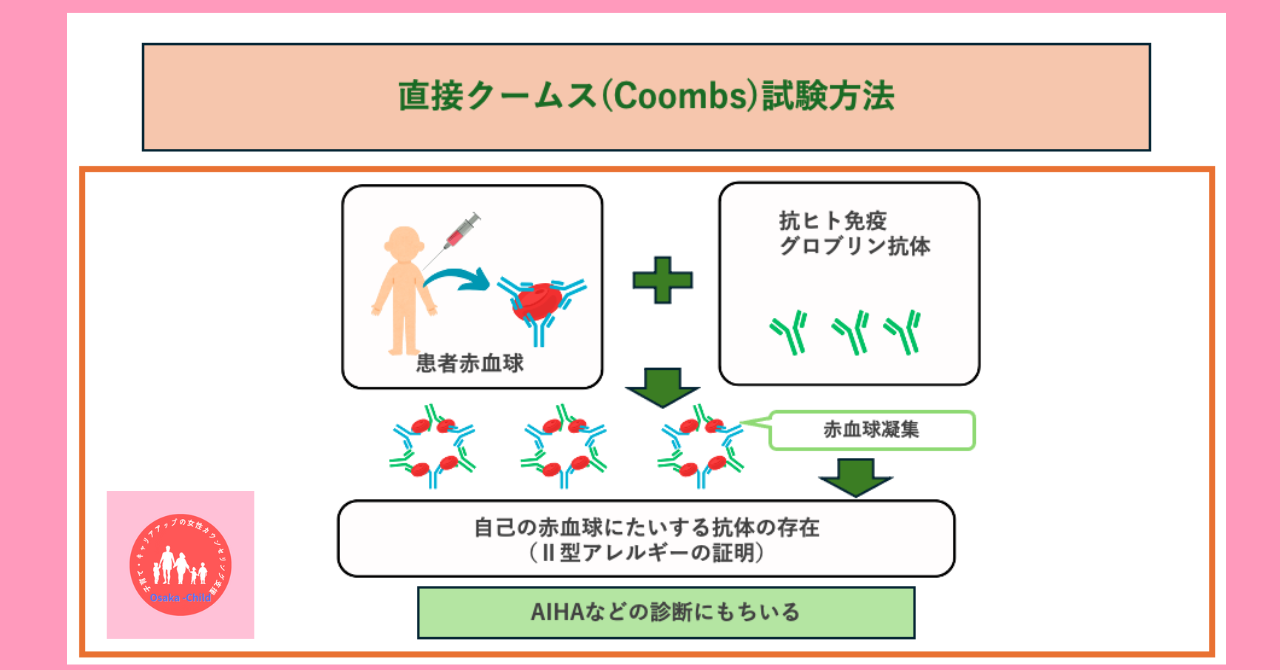 blood-test-what-you-can-learn-direct-antiglobulin-test-indirect-antiglobulin-test-difference