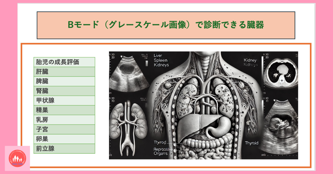 disease-test-ultrasound-test-mechanism